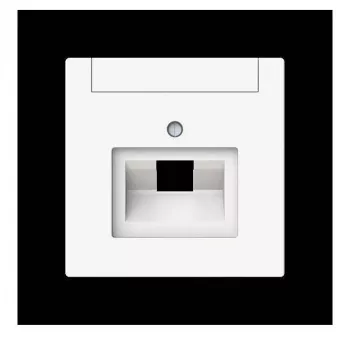 Busch-Jaeger future linear centrinė plokštė 1 vietos UAE su žymėjimo lauku, studio white mat 2CKA001710A4220