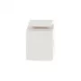 BUSCH-JAEGER aklinis modulis Keystone baltas 0229/02 (2CKA000230A0484)