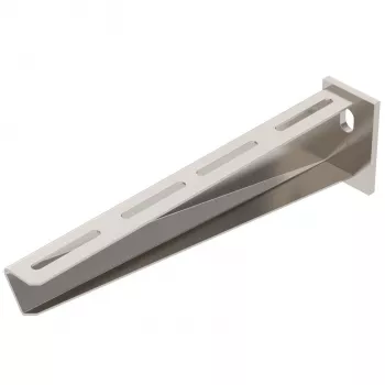 OBO BETTERMANN sieninis ir stiebinis laikiklis AW30/31 VA4301 iš nerūdijančio plieno, 300 mm iškyša, 48 mm vamzdis, 6442854