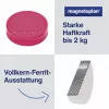 MAGNETOPLAN HOLTZ Magnet Ergo Medium 1664018 30 mm rausvas magnetas, 10 vnt.