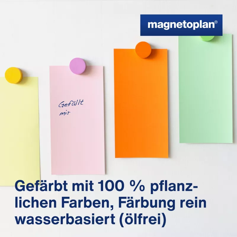 MAGNETOPLAN HOLTZ komunikacijos kortelės stačiakampės 200 x 100 mm įvairių spalvų (rožinė, žalia, geltona, balta, mėlyna, oranžinė) - 250 kortelių 112501510