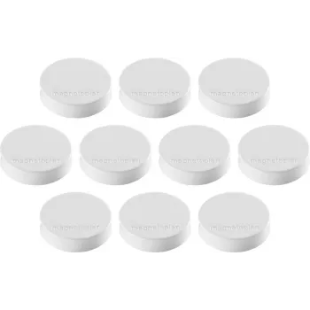Magnetoplan Ergo-Magnete Medium baltas feritinis magnetas, 30 mm, 1 vnt. 1664000