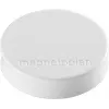 Magnetoplan Ergo-Magnete Medium baltas feritinis magnetas, 30 mm, 1 vnt. 1664000