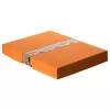 FALKEN PURE dokumentų saugojimo dėžė 500 lapų pastelinės oranžinės spalvos 24,0 x 32,0 x 4,0 cm 22001832000F