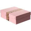 FALKEN PURE dokumentų laikymo dėžė 1250 lapų, pastelinės rožinės spalvos, 24,0 x 32,0 x 10,0 cm, 22001888000F