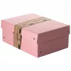 FALKEN PURE dokumentų saugojimo dėžė 1250 lapų pastelinės rožinės spalvos 18,0 x 25,0 x 10,0 cm, 1 vnt. 22001896000F