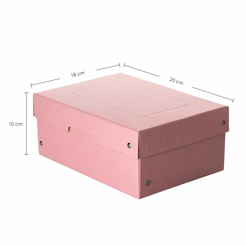 FALKEN PURE dokumentų saugojimo dėžė 1250 lapų pastelinės rožinės spalvos 18,0 x 25,0 x 10,0 cm, 1 vnt. 22001896000F