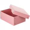FALKEN PURE dokumentų saugojimo dėžė 1250 lapų pastelinės rožinės spalvos 18,0 x 25,0 x 10,0 cm, 1 vnt. 22001896000F