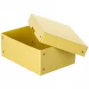 FALKEN PURE dokumentų laikymo dėžė 1250 lapų pastelinės geltonos spalvos 18,0 x 25,0 x 10,0 cm, 1 vnt. 22001944000F