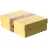 FALKEN PURE dokumentų saugojimo dėžė 1250 lapų, pastelinė geltona, 24,0 x 32,0 x 10,0 cm, 1 vnt. 22001936000F