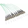 GoodConnections Alcasa LW-802PT 2m 12x ST turkio spalvos optinis pataisų kabelis (LW-802PT)