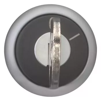 Eaton M22-WRS-A1 raktu valdomas perjungiklis, 2 padėčių, fiksuotas, juodas valdymo elementas, sidabrinis titaninis priekinis žiedas, 22,5 mm montavimas, IP66/IP67/IP69K 229092
