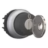 Eaton M22-WRS-MS2 raktinis perjungiklis, 2 padėtys, fiksuojamas, titano spalvos priekinis žiedas, MS2 raktas, 22,5 mm montavimas 111778