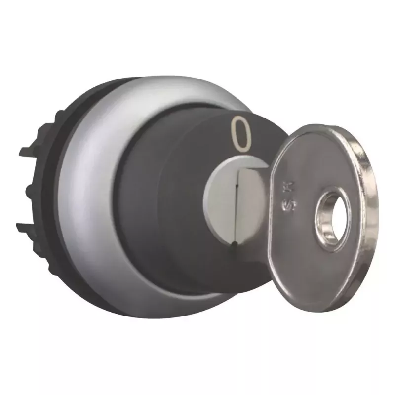 Eaton M22-WRS-MS2 raktinis perjungiklis, 2 padėtys, fiksuojamas, titano spalvos priekinis žiedas, MS2 raktas, 22,5 mm montavimas 111778