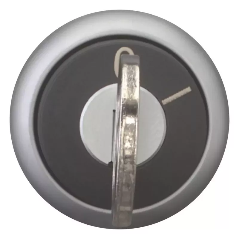 Eaton M22-WRS-MS2 raktinis perjungiklis, 2 padėtys, fiksuojamas, titano spalvos priekinis žiedas, MS2 raktas, 22,5 mm montavimas 111778