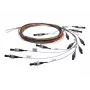 TELEGÄRTNER L00889A0035 SC vienmodis optinis pigtailas, 2 m, LSZH, UPC