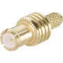 TELEGÄRTNER MCX tiesus kištukas 50 omų, crimp/lituoti, RG174/RG188/RG316