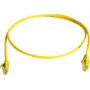 Telegärtner Cat6 U/UTP RJ45 komutacinis kabelis, 2 m, pilkas L00001A0236