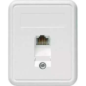 TELEGÄRTNER ant sienos montuojamas RJ45 lizdas 1xRJ45 neekranuotas, Cat. 5e (A0174)