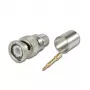 Telegärtner BNC crimp kištukas RG214/U ir RG393/U kabeliams, 50 Ohm, 1 vnt. J01000A0060