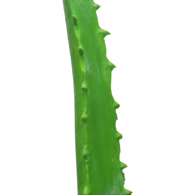 EUROPALMS dirbtinis alavijas juodame vazone, 63 cm, 82809112