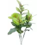EUROPALMS dirbtinis kaučiukmedis 100cm, tikroviškas Ficus elastica, juodame plastikiniame vazone 82508303