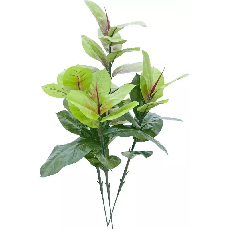 EUROPALMS dirbtinis kaučiukmedis 100cm, tikroviškas Ficus elastica, juodame plastikiniame vazone 82508303