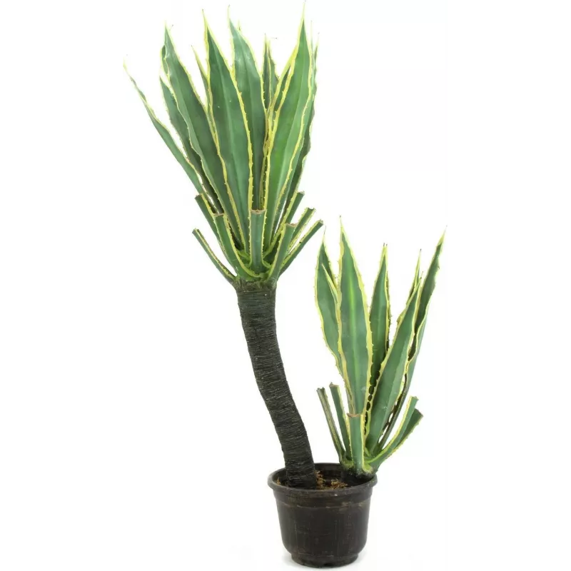 EUROPALMS Orchid Cactus dirbtinis augalas, 160cm 82809035