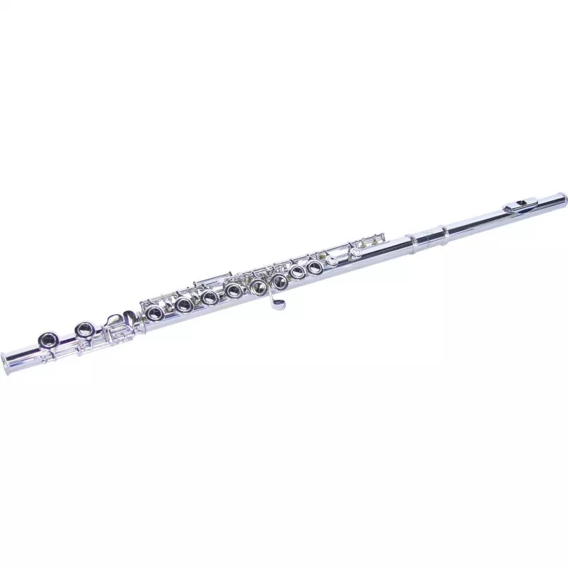 DIMAVERY QP-10 C skersinė fleita, sidabruota 26500300