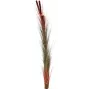 EUROPALMS dirbtinė nendrinė žolė su šiurkščiaisiais dryžiais, šviesiai ruda, 152cm 82505856
