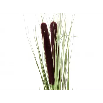 EUROPALMS dirbtinė nendrių žolė su burbuolėmis, šviesiai žalia, 152cm 82505855