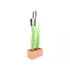EUROPALMS dirbtinė nendrių žolė su burbuolėmis, šviesiai žalia, 152cm 82505855