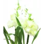 EUROPALMS Aronstab, 3 dalių rinkinys su LED, baltas, 85 cm (83330302)