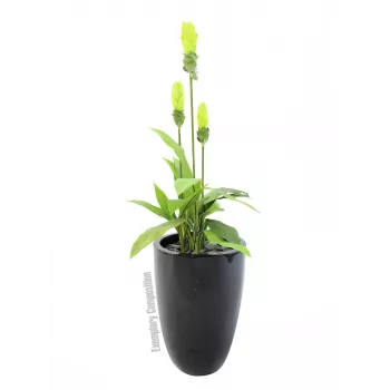 EUROPALMS LEICHTSIN CUP-69 RGB LED prožektorius, juodas, blizgus (83011819)