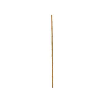 EUROPALMS bambukinis stulpas, Ø 3 cm, ilgis 200 cm 83313200