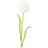 EUROPALMS Crystal Tulip dirbtinė gėlė, balta, 61 cm, 12 vnt. paketas (82600204)