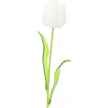 EUROPALMS Crystal Tulip dirbtinė gėlė, balta, 61 cm, 12 vnt. paketas (82600204)