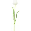 EUROPALMS Crystal Tulip dirbtinė gėlė, balta, 61 cm, 12 vnt. paketas (82600204)