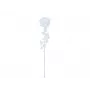EUROPALMS Crystal Rose dirbtinė gėlė, permatoma, 81 cm, 12 vienetų didmeninė pakuotė 82600210