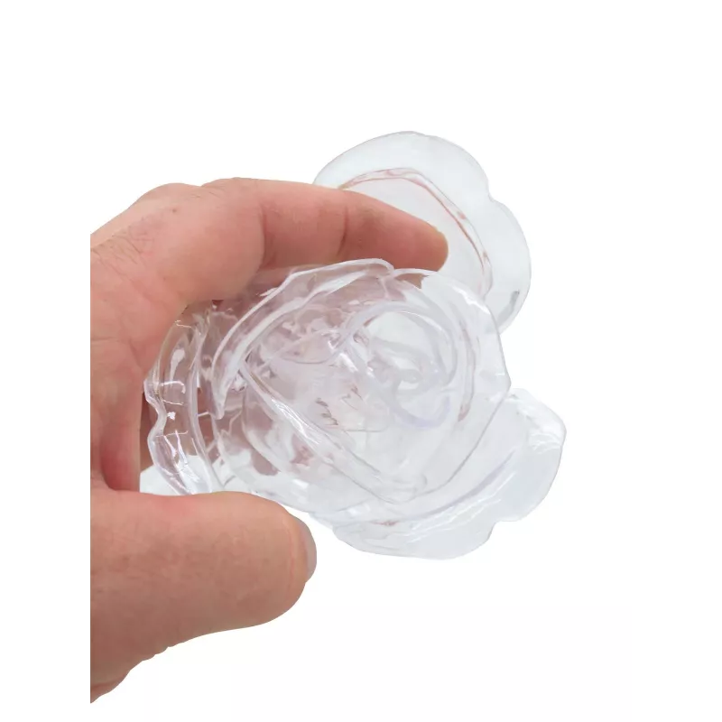 EUROPALMS Crystal Rose dirbtinė gėlė, permatoma, 81 cm, 12 vienetų didmeninė pakuotė 82600210