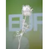 EUROPALMS Crystal Rose dirbtinė gėlė, permatoma, 81 cm, 12 vienetų didmeninė pakuotė 82600210