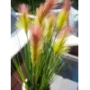 EUROPALMS dirbtinė plunksninė žolė, rožinė, 90cm 82505865