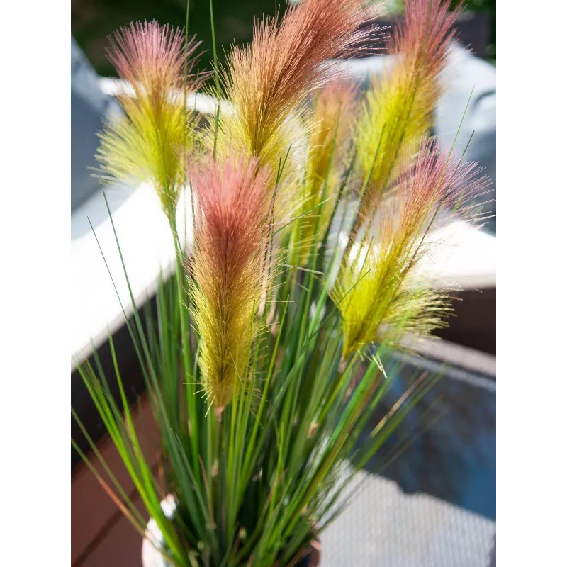 EUROPALMS dirbtinė plunksninė žolė, rožinė, 90cm 82505865