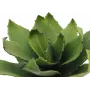EUROPALMS Agave dirbtinis augalas, EVA, žalias, 35 cm 82530576