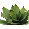 EUROPALMS Agave dirbtinis augalas, EVA, žalias, 35 cm 82530576