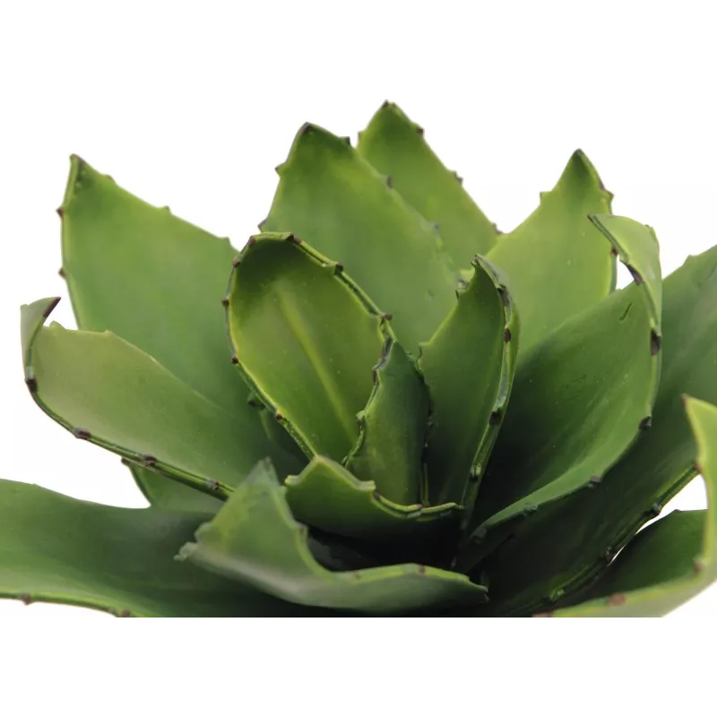EUROPALMS Agave dirbtinis augalas, EVA, žalias, 35 cm 82530576