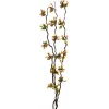 EUROPALMS Torfmyrte šakos su LED lemputėmis, 180 cm 83330312