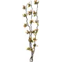EUROPALMS Torfmyrte šakos su LED lemputėmis, 180 cm 83330312