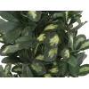 EUROPALMS Schefflera dirbtinis augalas, 120 cm, žalias 82600157