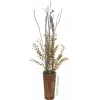 EUROPALMS dirbtinė eukalipto šakelė, geltonai žalia, 110 cm 82505622